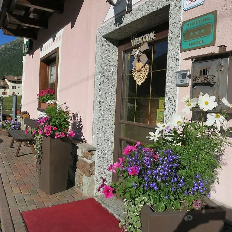 Hotel Garni Oasi Livigno 3*,